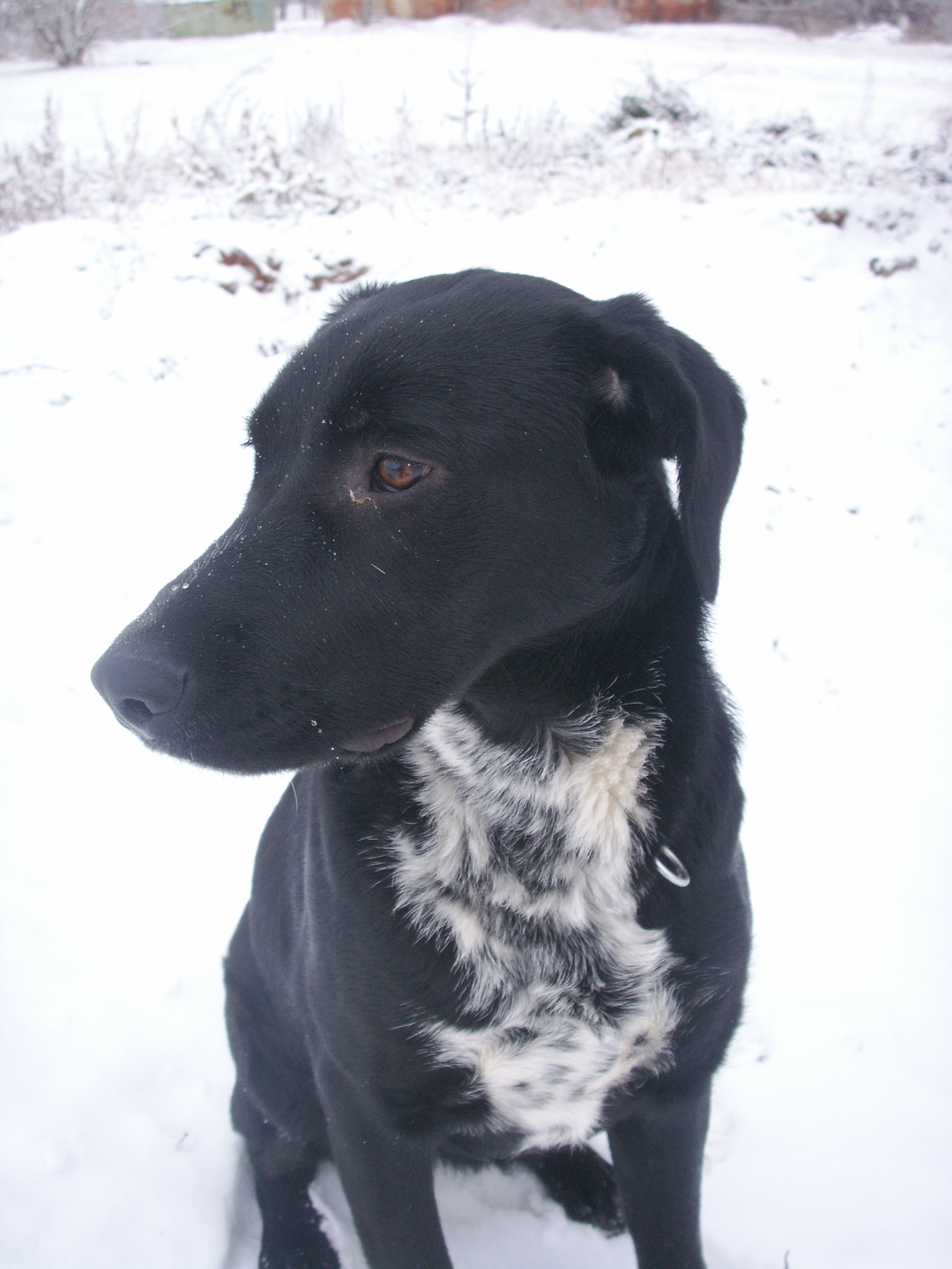 sníh2006!! 020.jpg