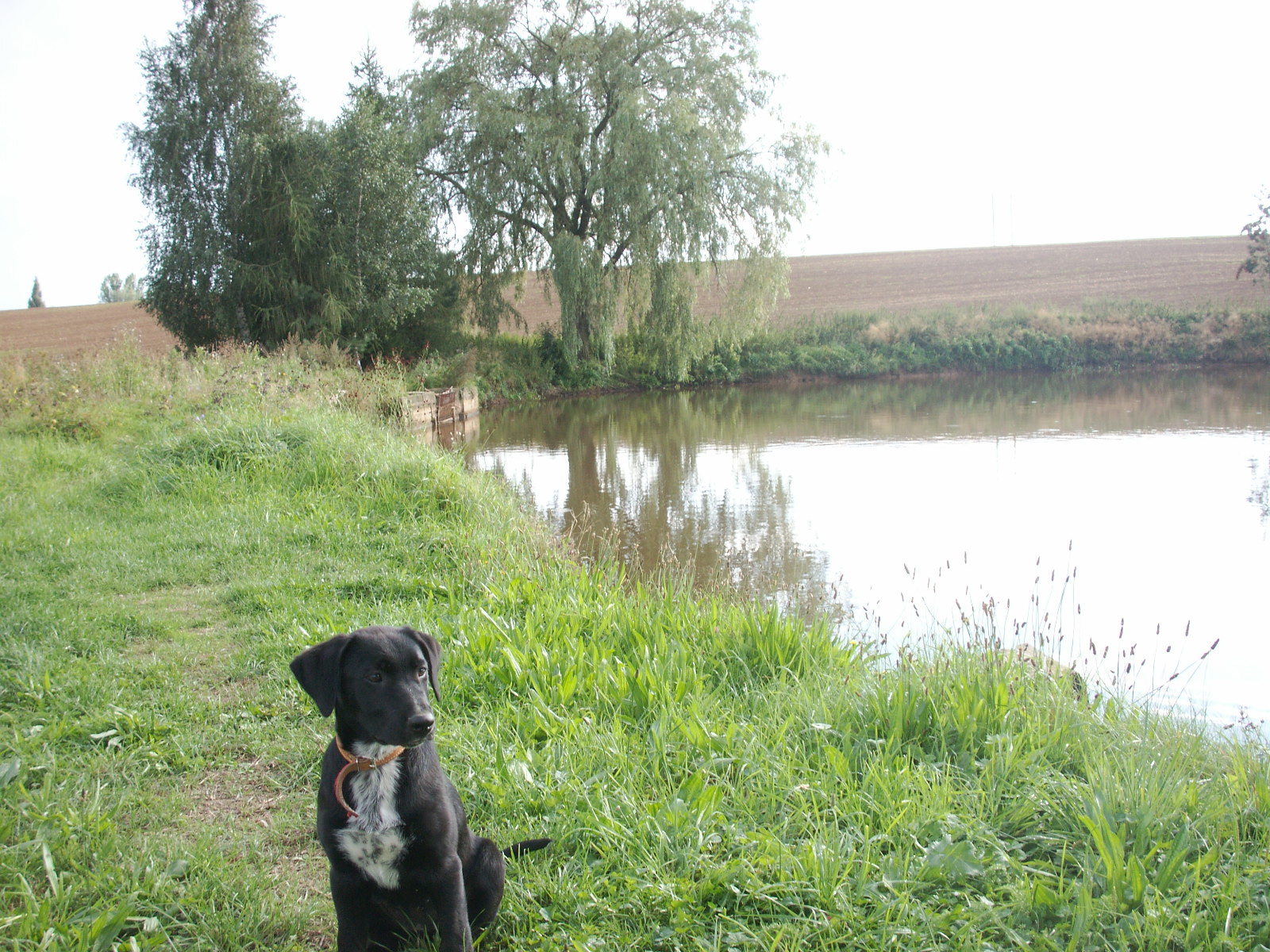 Pict0003.jpg