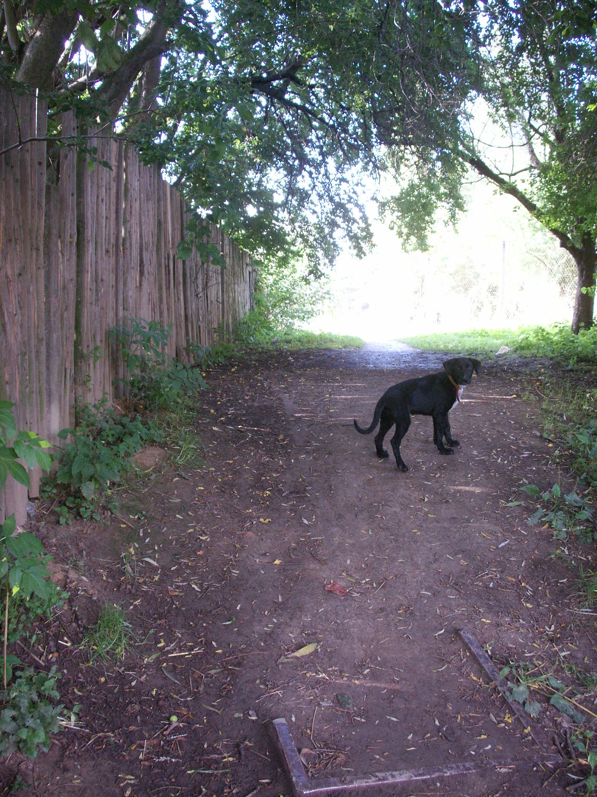 Pict0017.jpg